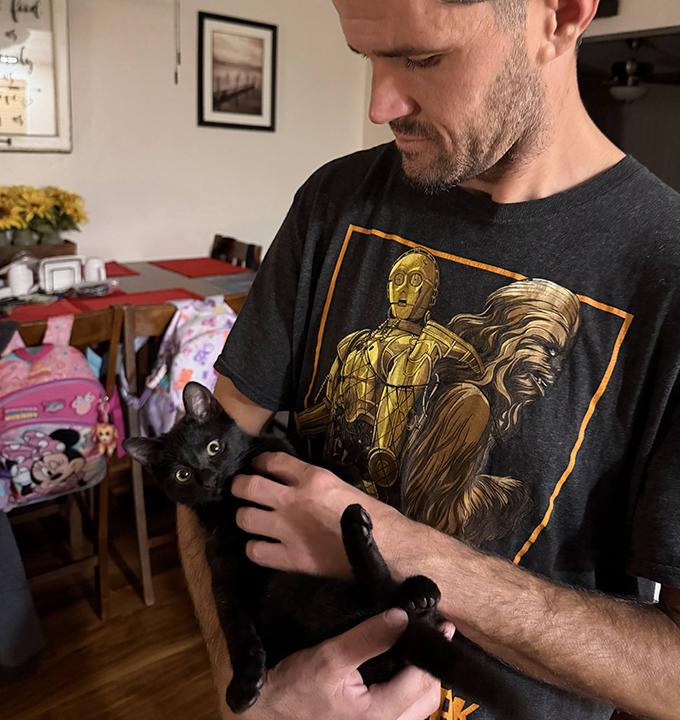 Kylo Ren, an adopted Domestic Short Hair in Lakeside, CA image 4/6
