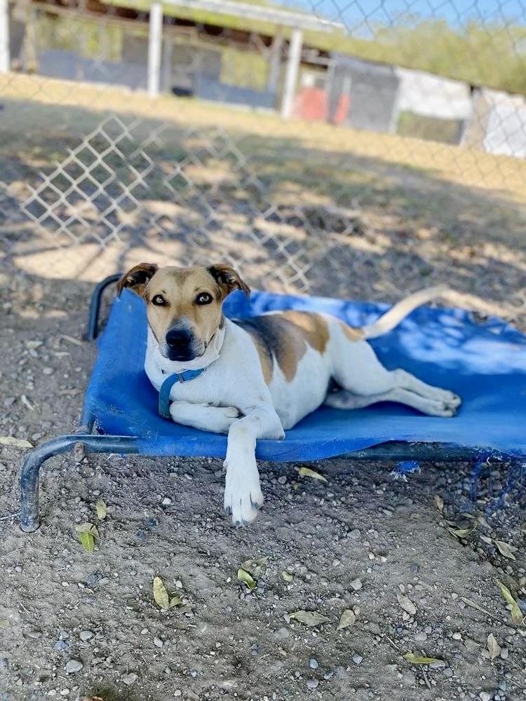 Flora — thumbnail 2