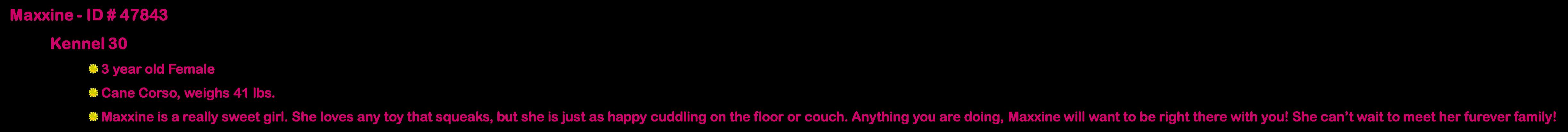 Maxxine, an adopted Cane Corso in Suffolk, VA image 3/3