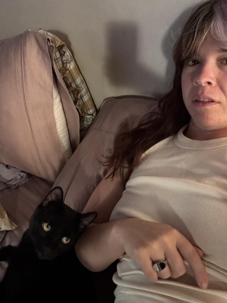 Toucan Sam, Adoptable, Young Male Domestic Short Hair.