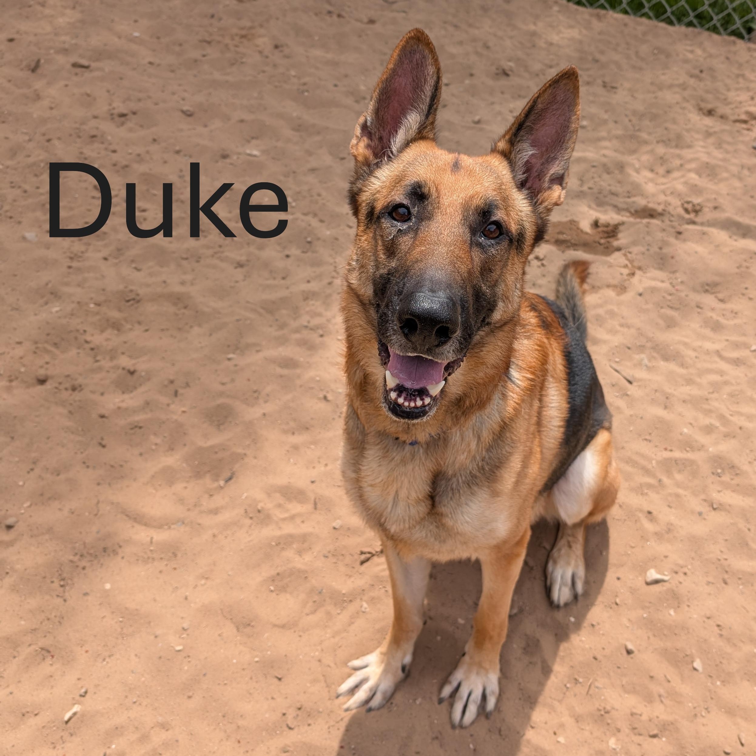 Duke