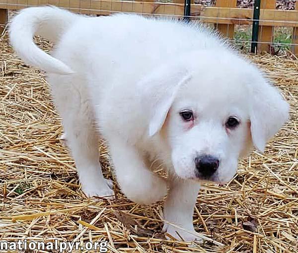 Haruki In Ky  thumbnail 2