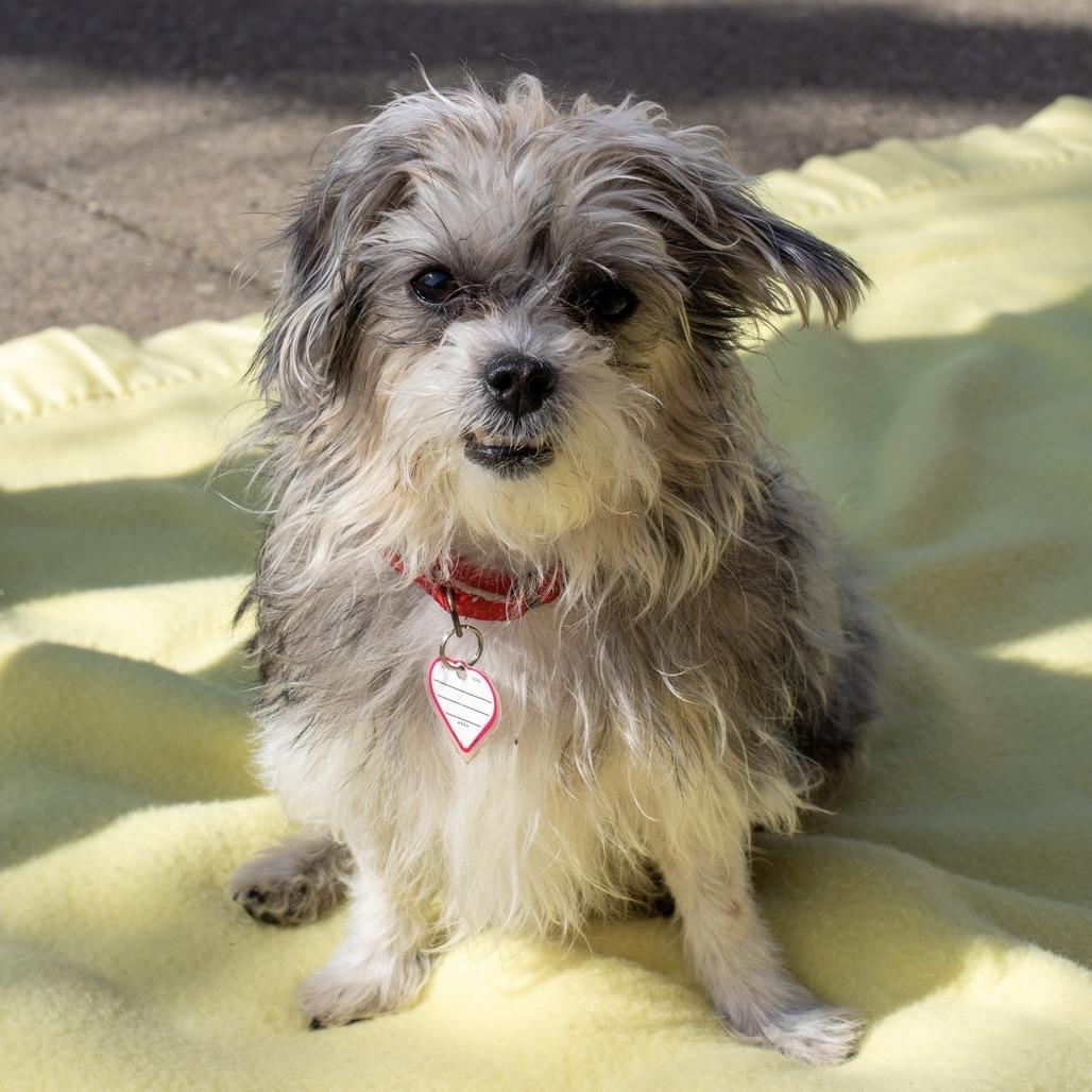 Mia-In Foster-See my Video!