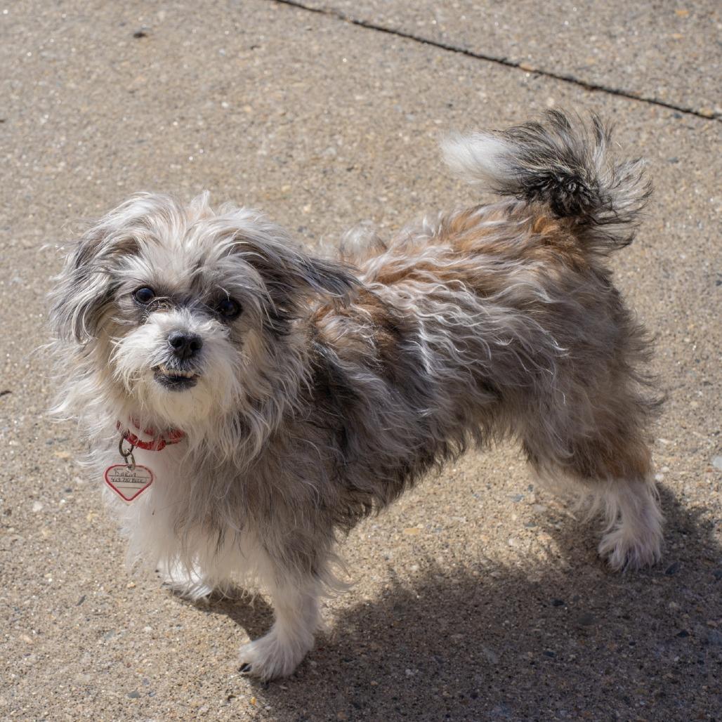 Mia-In Foster-See my Video! — thumbnail 3