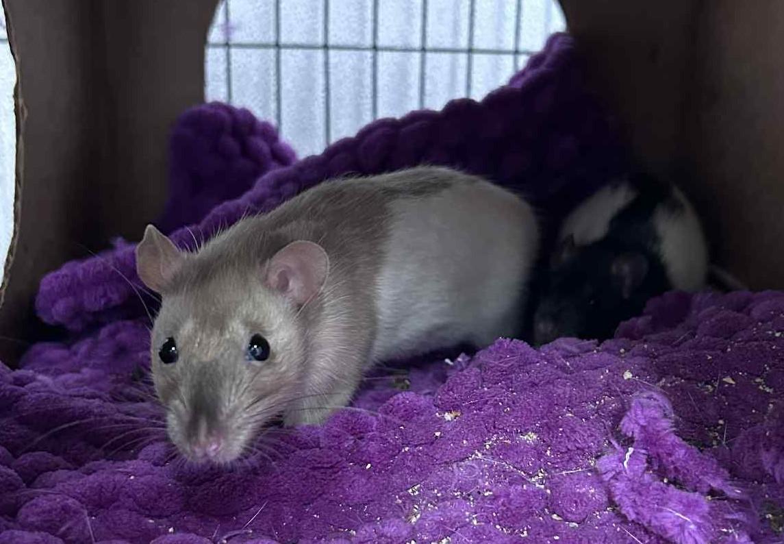 Betty and baby photo 2