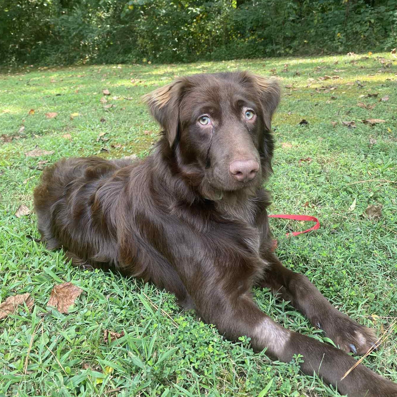 Copper