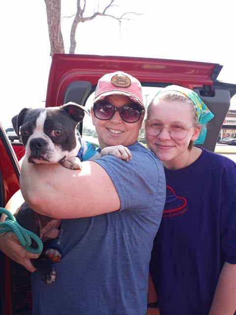 Enlarge Chicken, a Adopted Boston Terrier in Muskogee, OK image 3/5