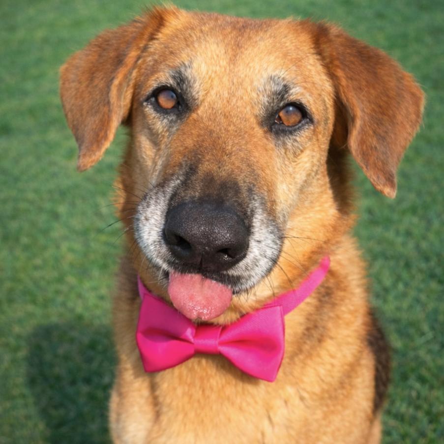 Amelie — thumbnail 2