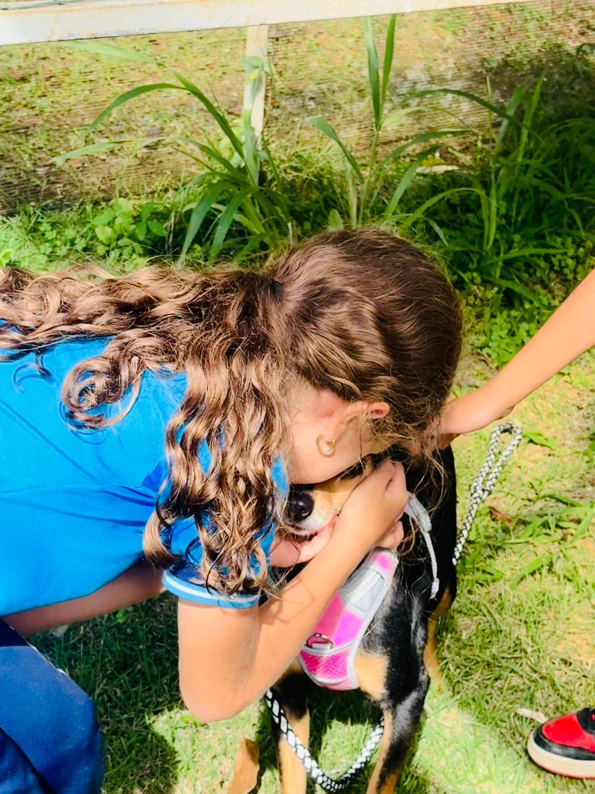 Enlarge Florecita, an adopted mixed breed in Virginia Beach, VA image 4/4