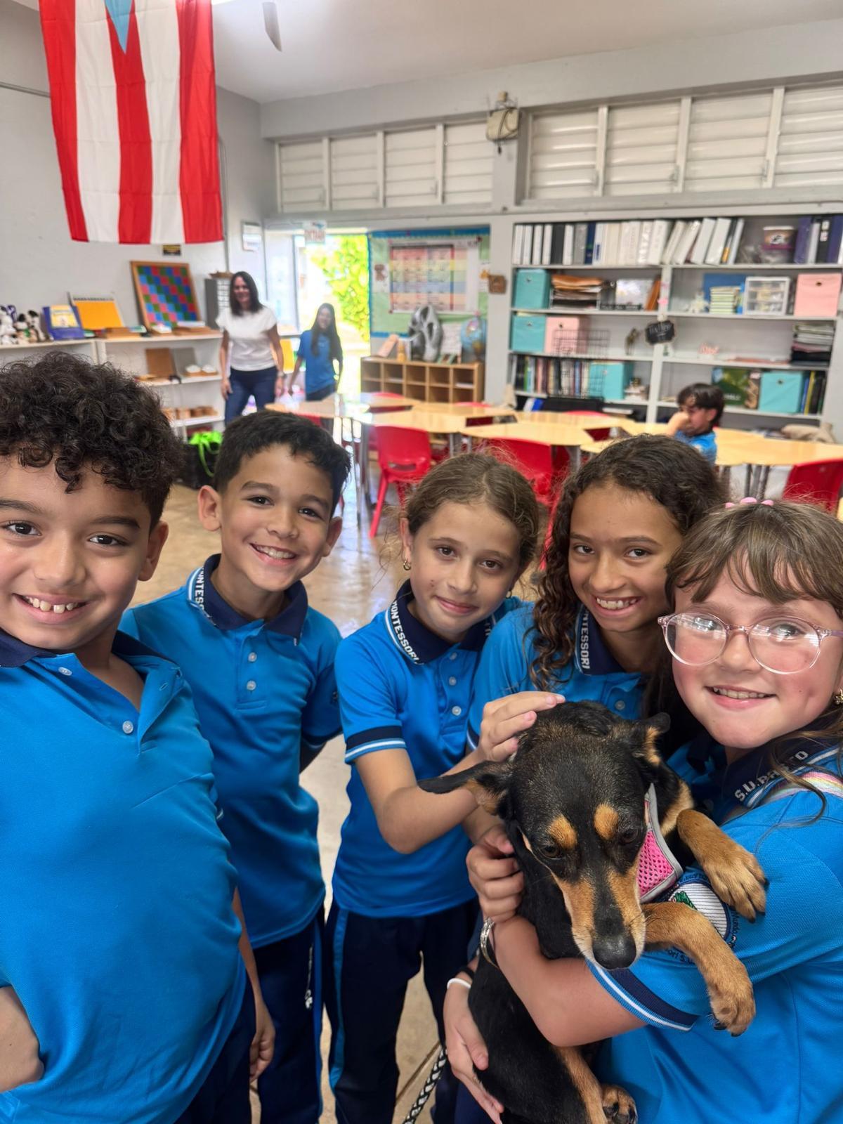 Enlarge Florecita, an adopted mixed breed in Virginia Beach, VA image 3/4