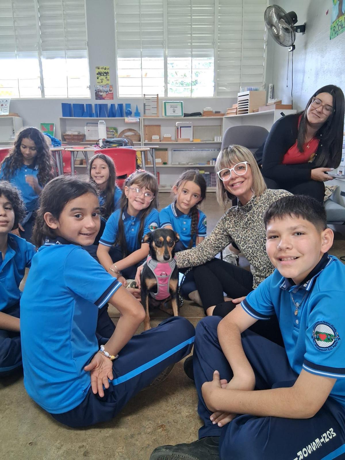 Enlarge Florecita, an adopted mixed breed in Virginia Beach, VA image 2/4