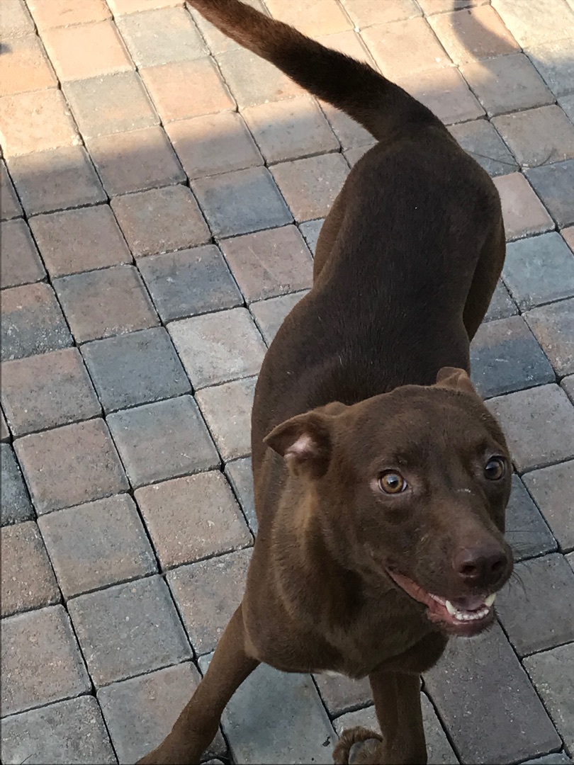 Bonnie  photo 2