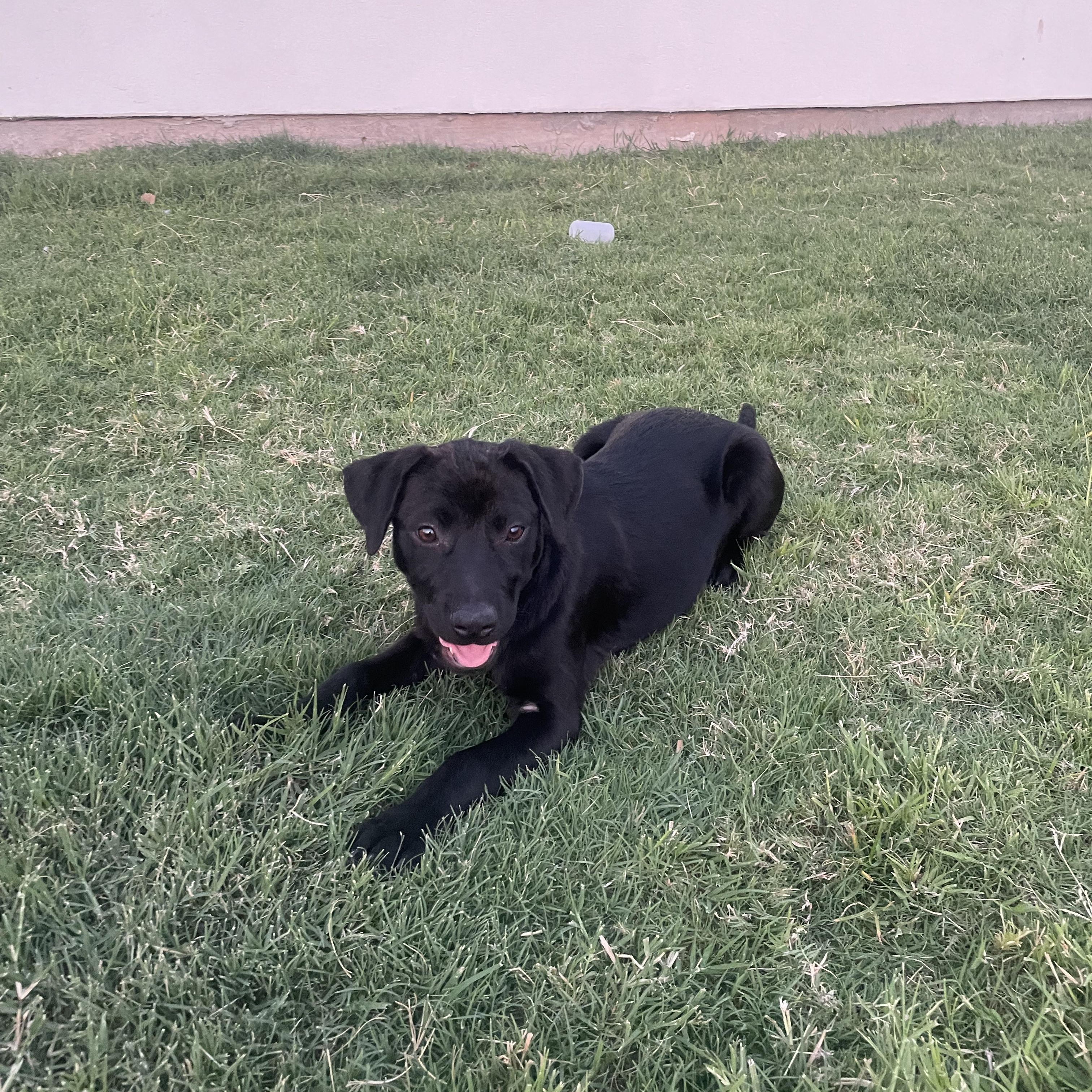 Remi photo 5