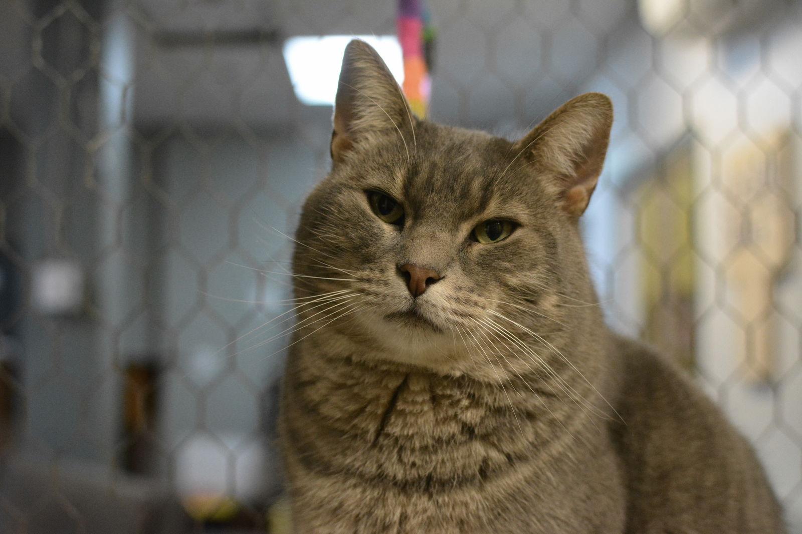 Marlo — thumbnail 3