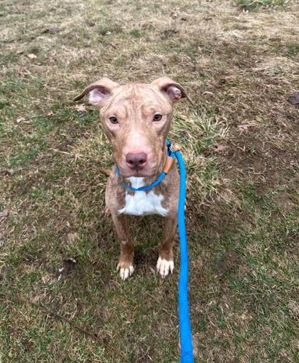 Hydro — thumbnail 2