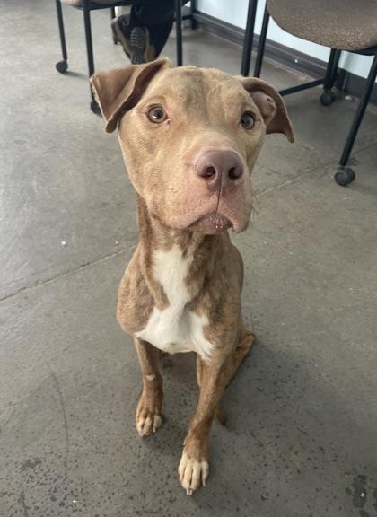 Hydro — thumbnail 3