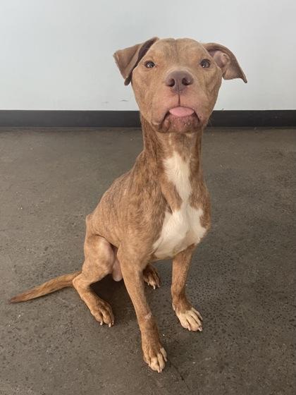 Hydro — thumbnail 4