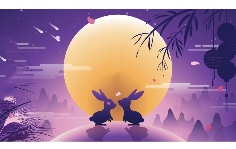 Enlarge MANNY and Snowball Bonded Pair, a Adoptable Bunny Rabbit in Georgetown , SC image 1/3