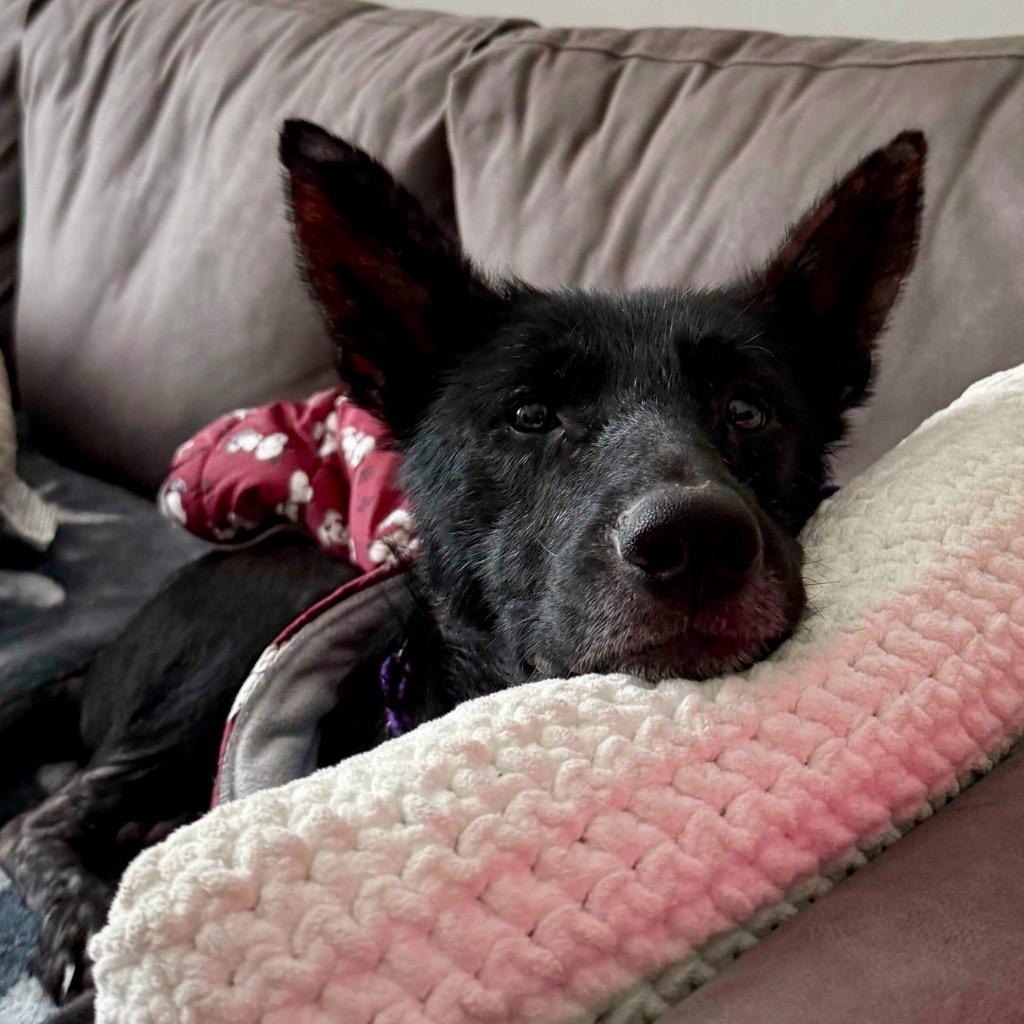 Scrabble thumbnail 2