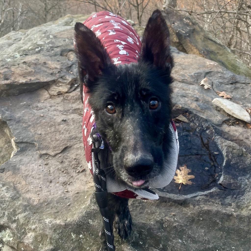 Scrabble thumbnail 3