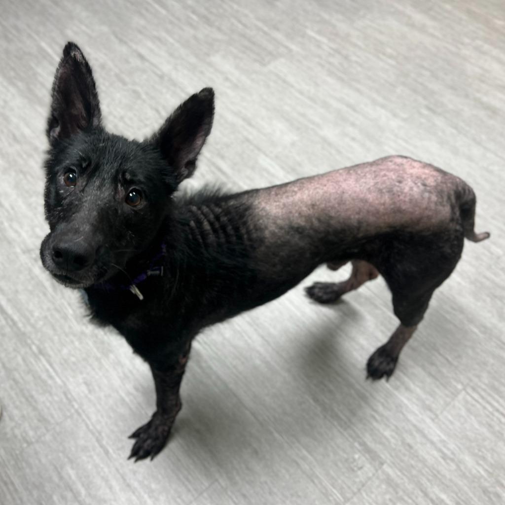 Scrabble thumbnail 4