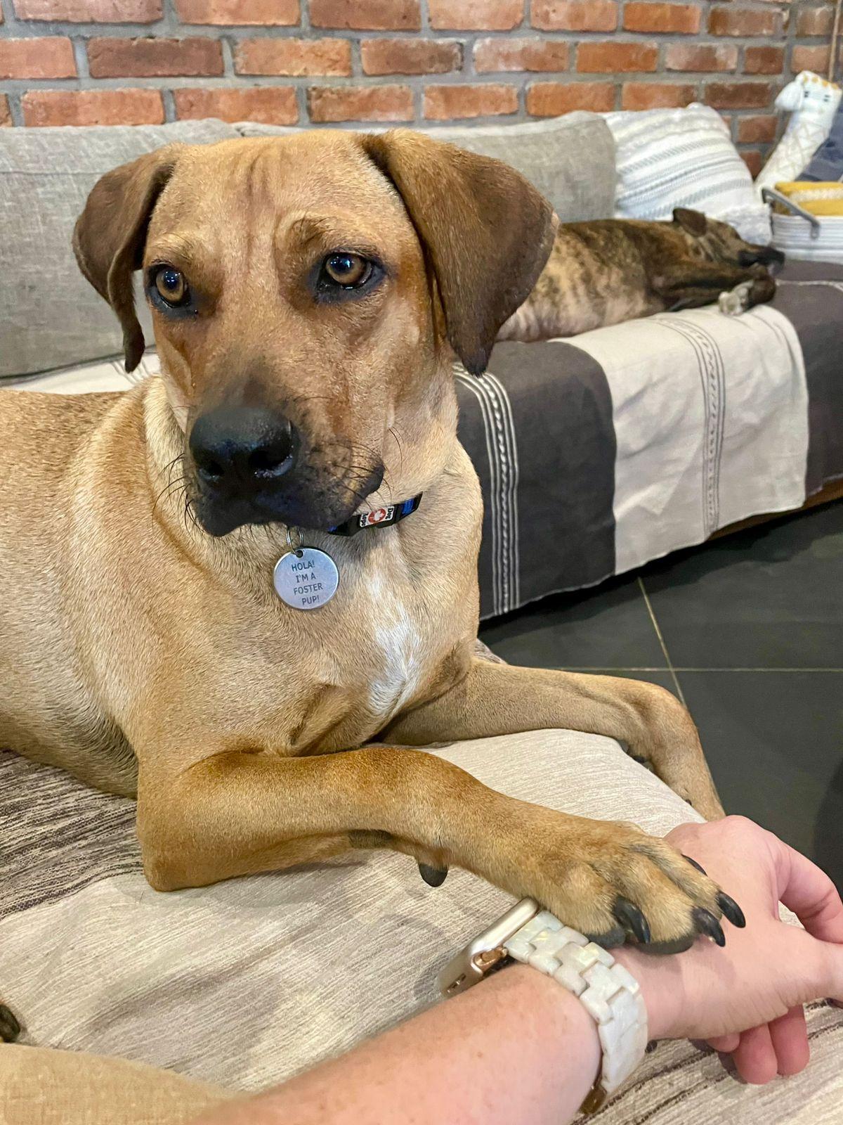 Chipotle — thumbnail 5