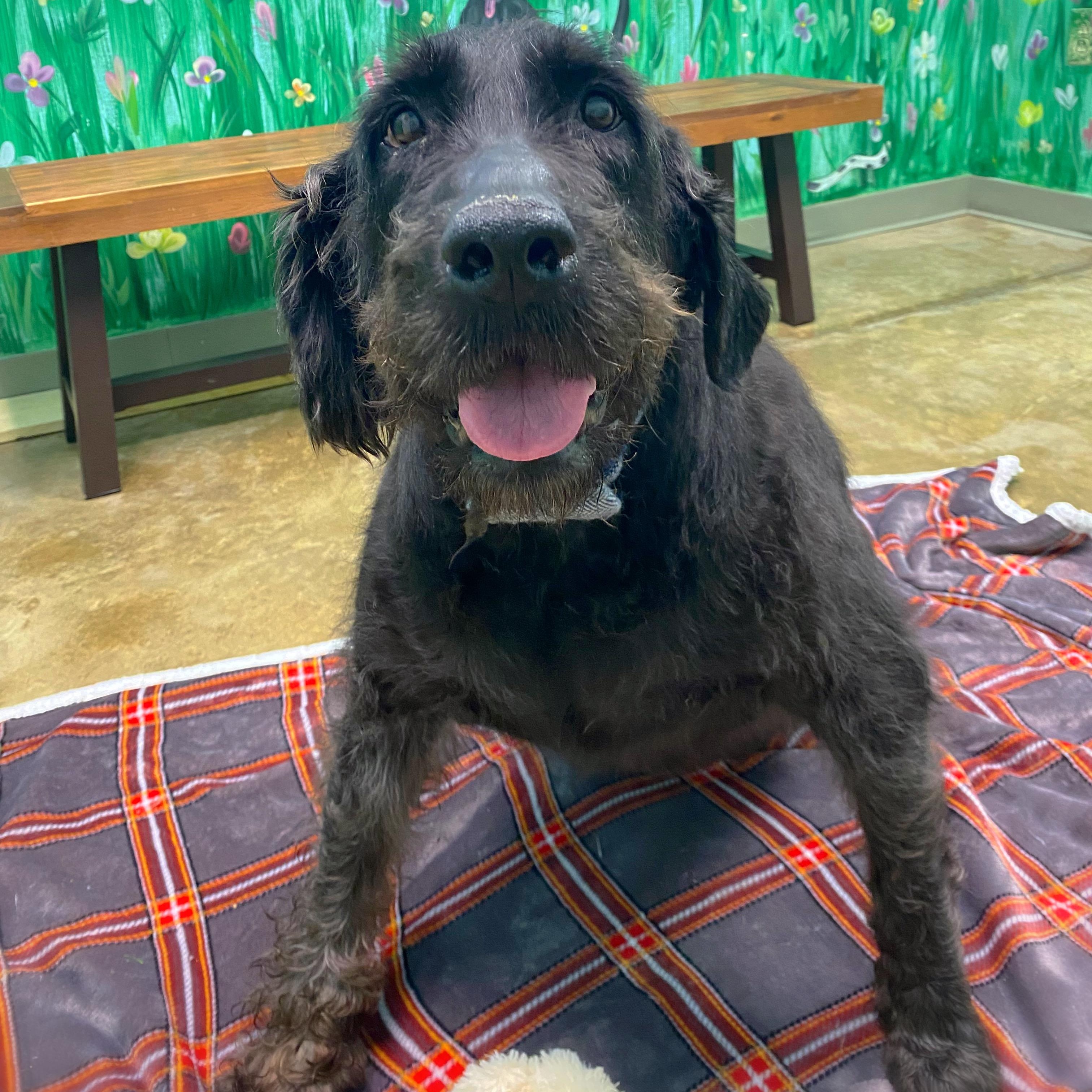 Walter, Senior Male unknown