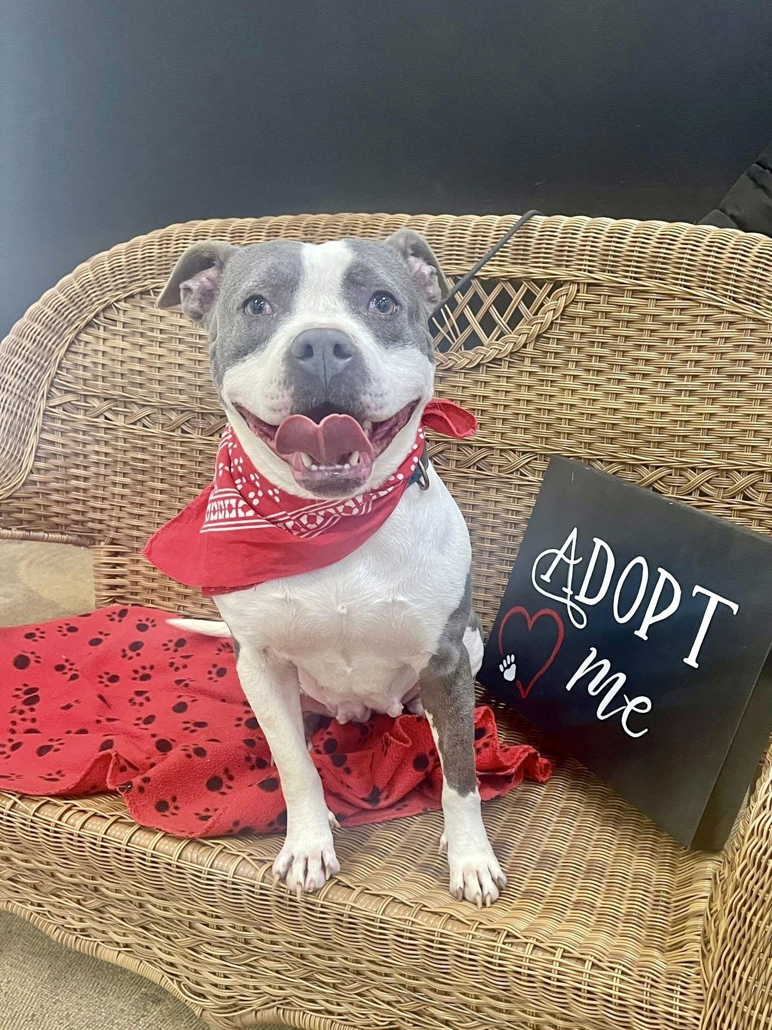 Marla Rds thumbnail 2