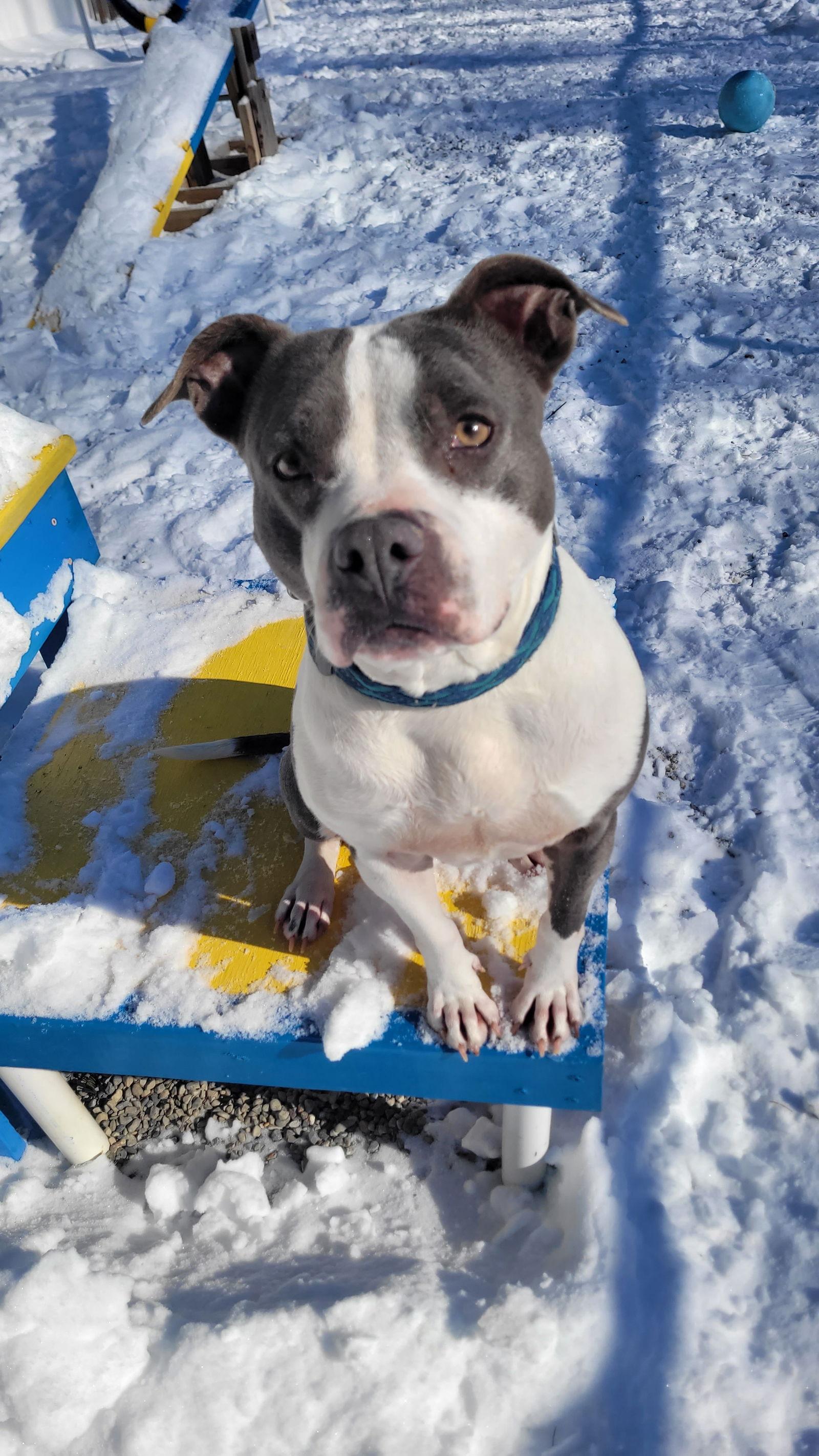 Marla Rds thumbnail 3