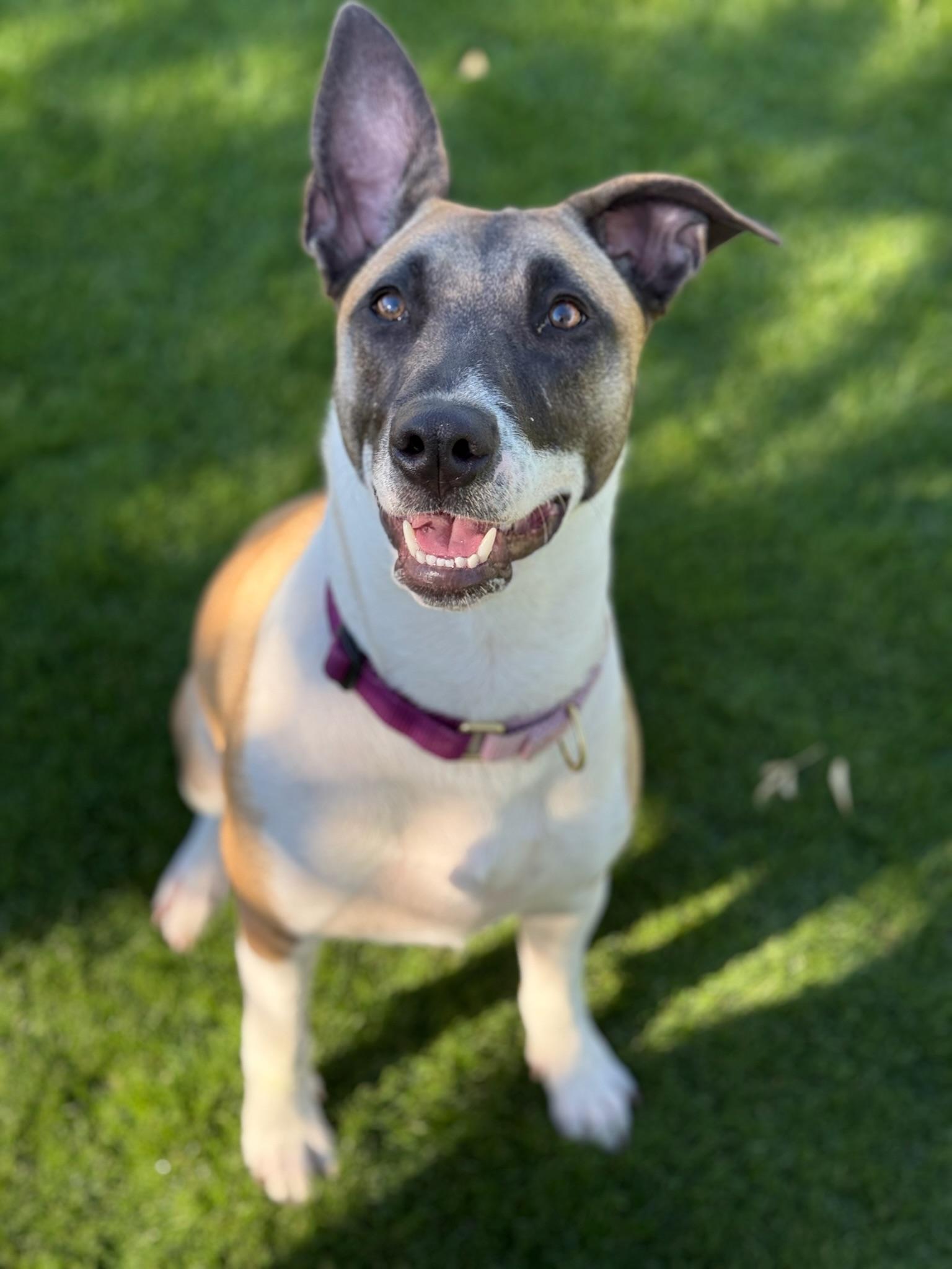 Skye COURTESY POST