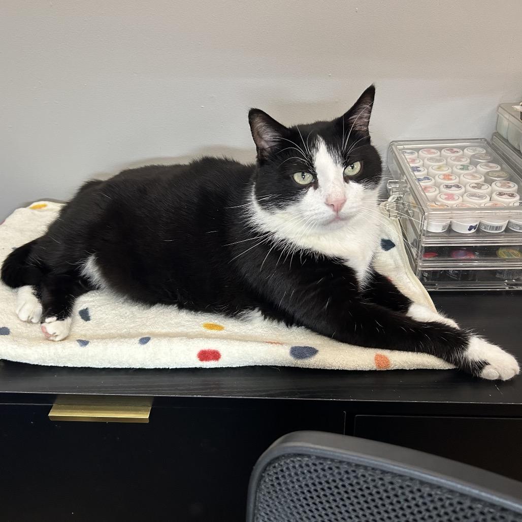 Jumbo — thumbnail 2