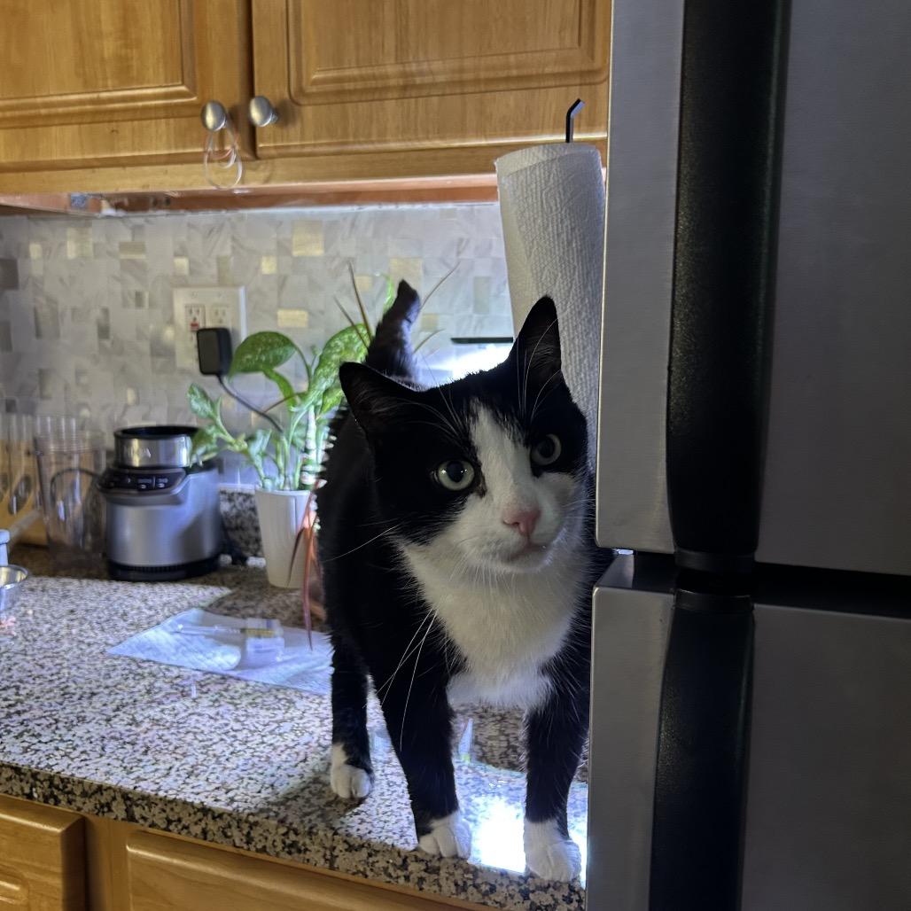 Jumbo — thumbnail 3