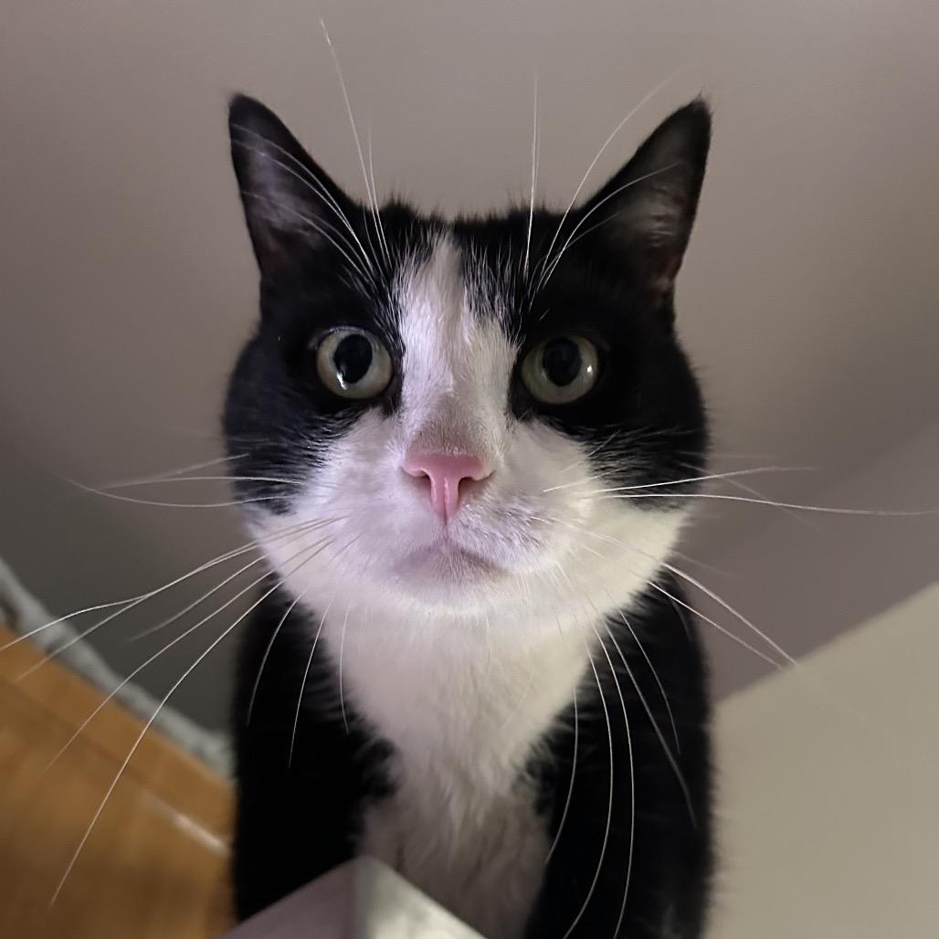 Jumbo — thumbnail 4