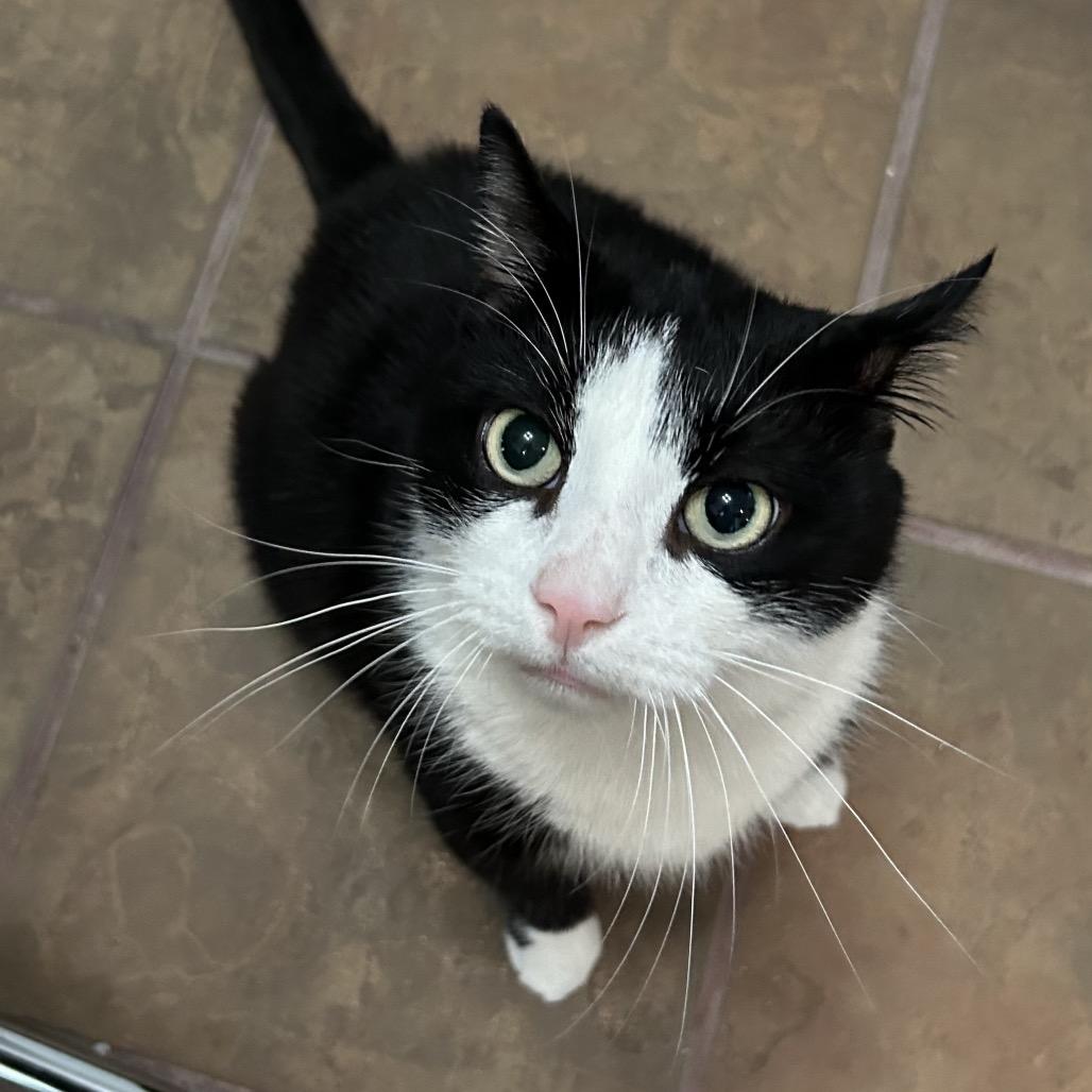 Jumbo — thumbnail 5