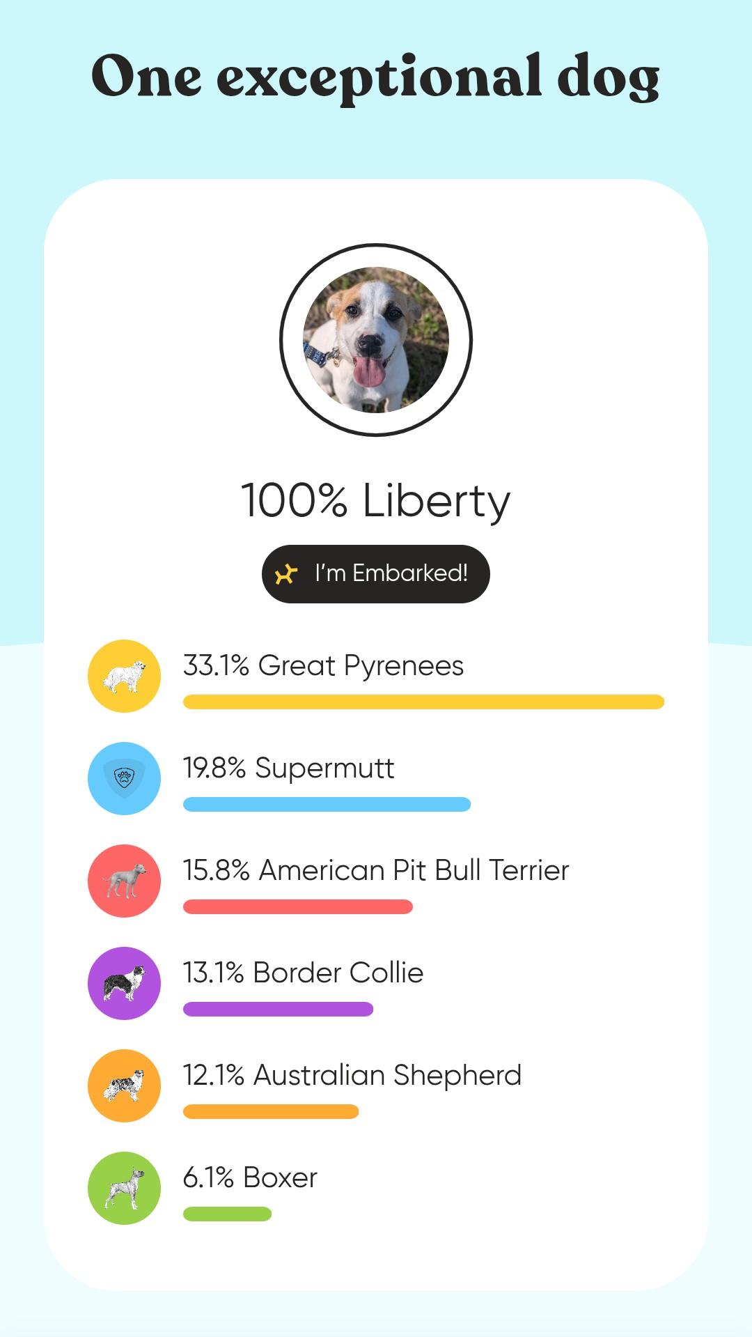 Liberty, an adoptable mixed breed in Spring hill, TN image 5/6