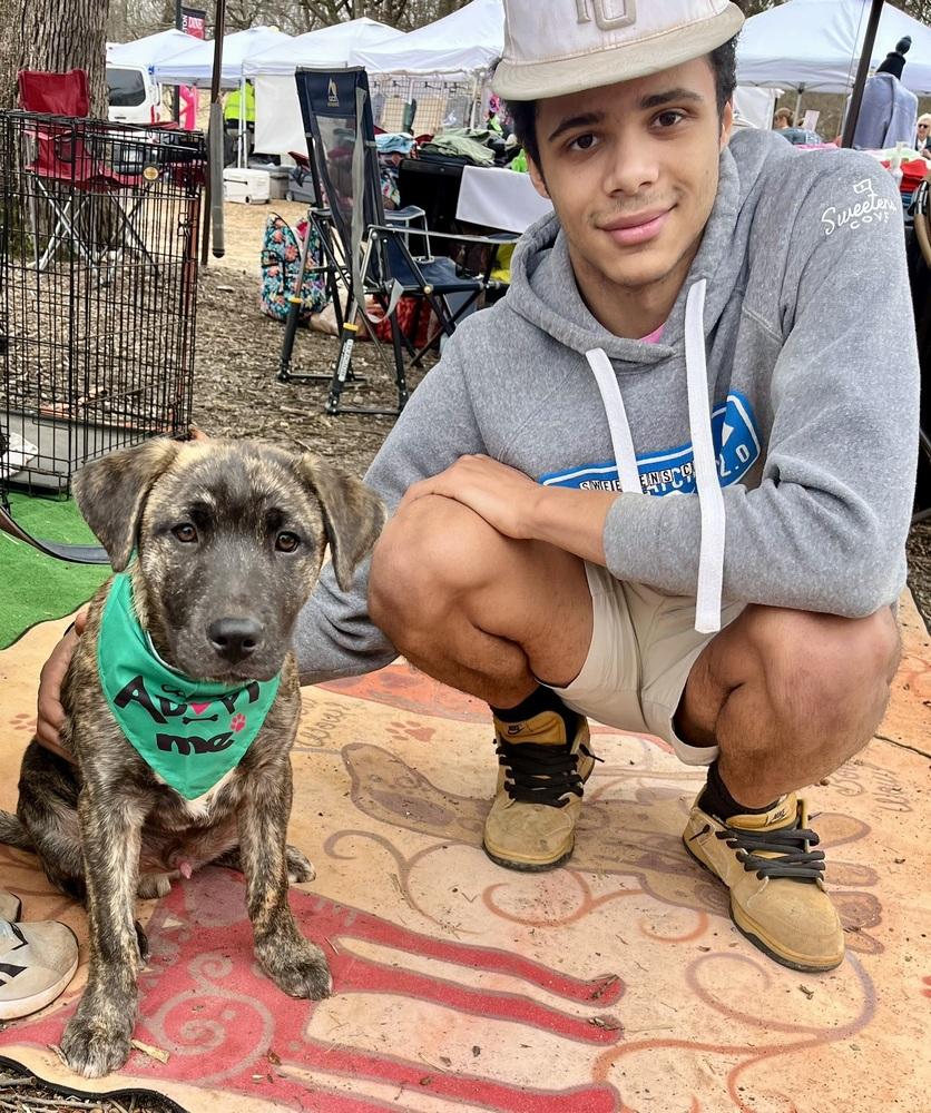 Enlarge Ash, a Adoptable mixed breed in Gillsville, GA image 6/6