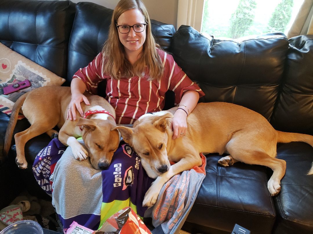 Cooper, a Adoptable mixed breed in Yorkville, IL image 4/6