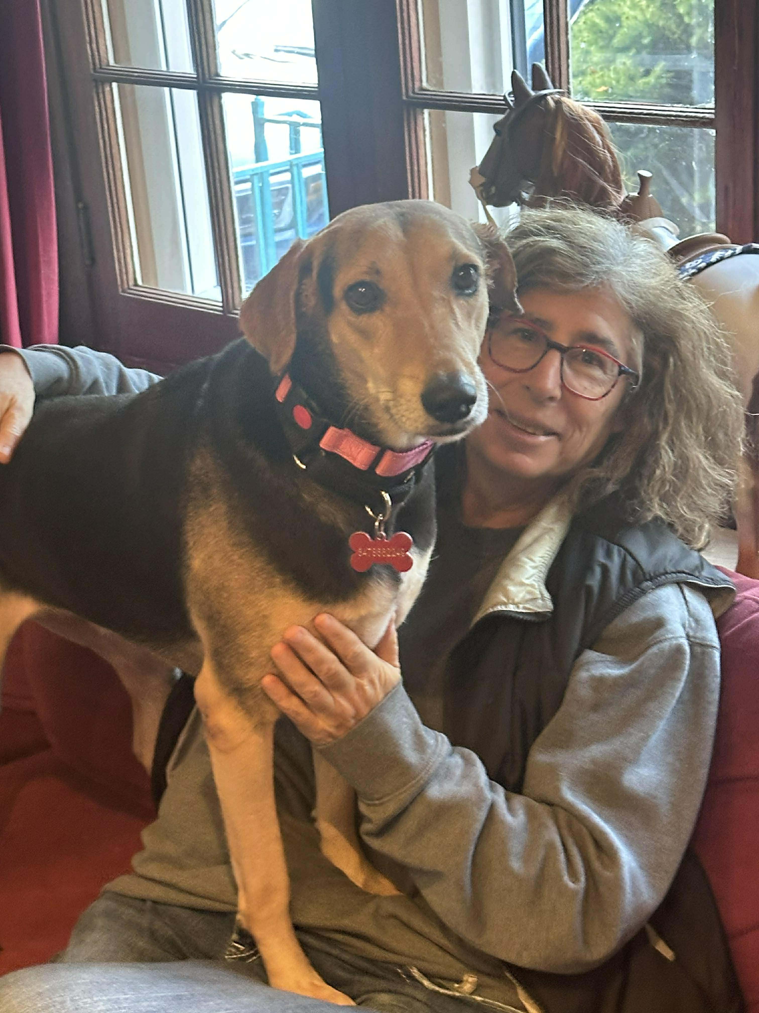 Enlarge Penny, an adoptable mixed breed in Toronto, ON image 3/6