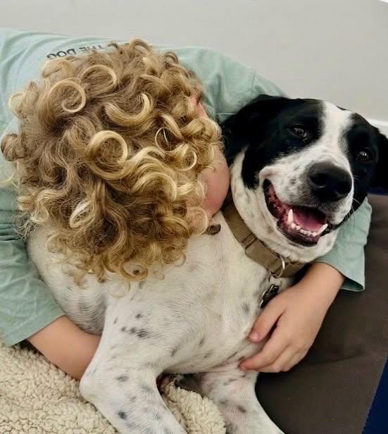 Enlarge Kissa, a Adoptable mixed breed in Raleigh, NC image 2/6