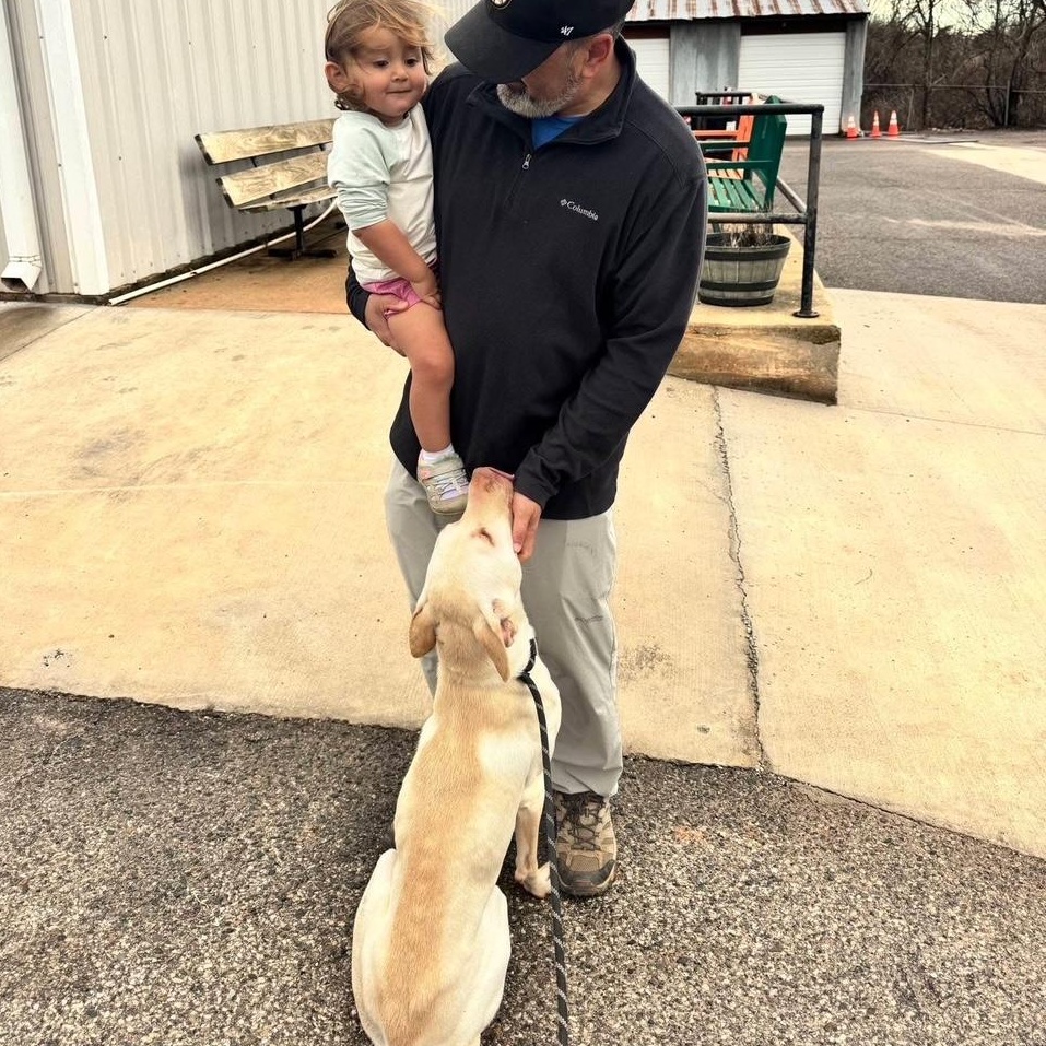 Enlarge Romeo, a ADOPTABLE mixed breed in Oklahoma City, OK image 3/3