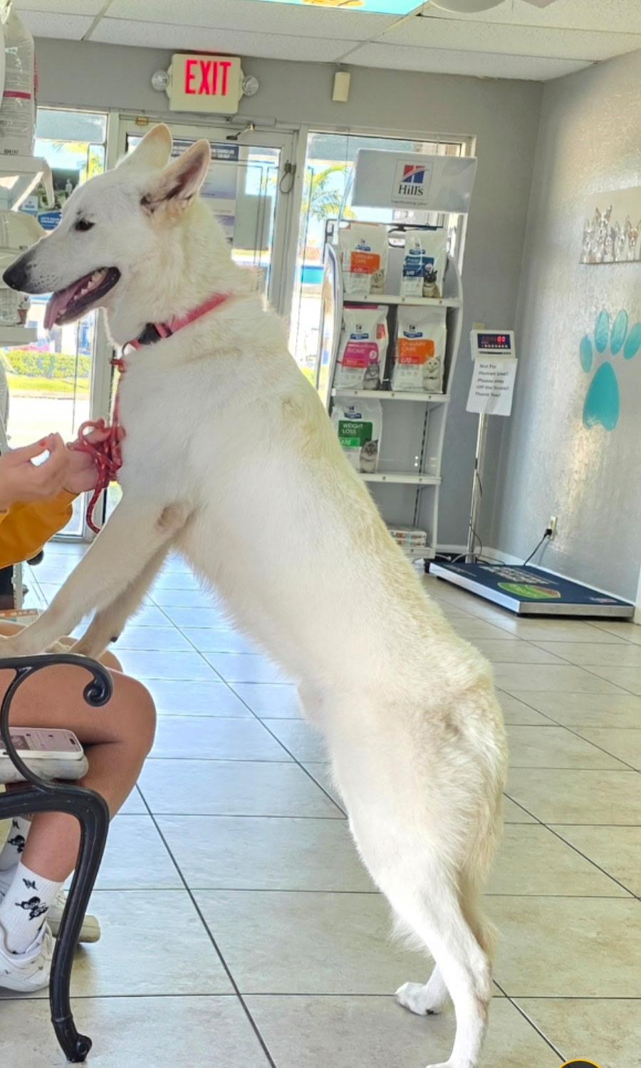 Maximo — thumbnail 3