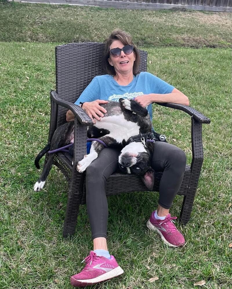 Lane Boots the Snuggly Couch Dog — thumbnail 3