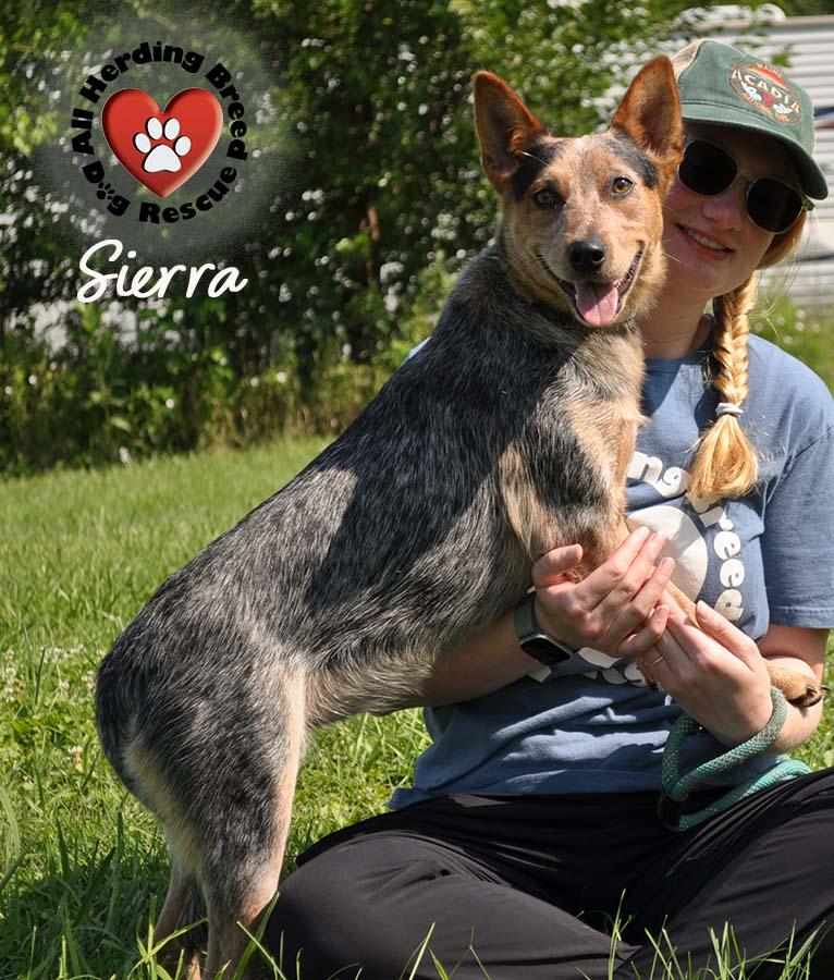 Sierra photo 5