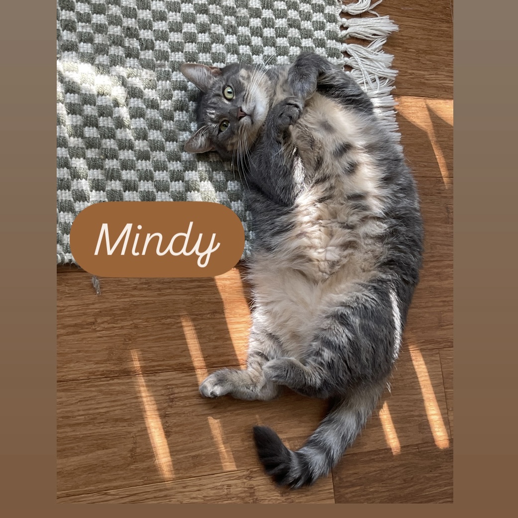 Mindy