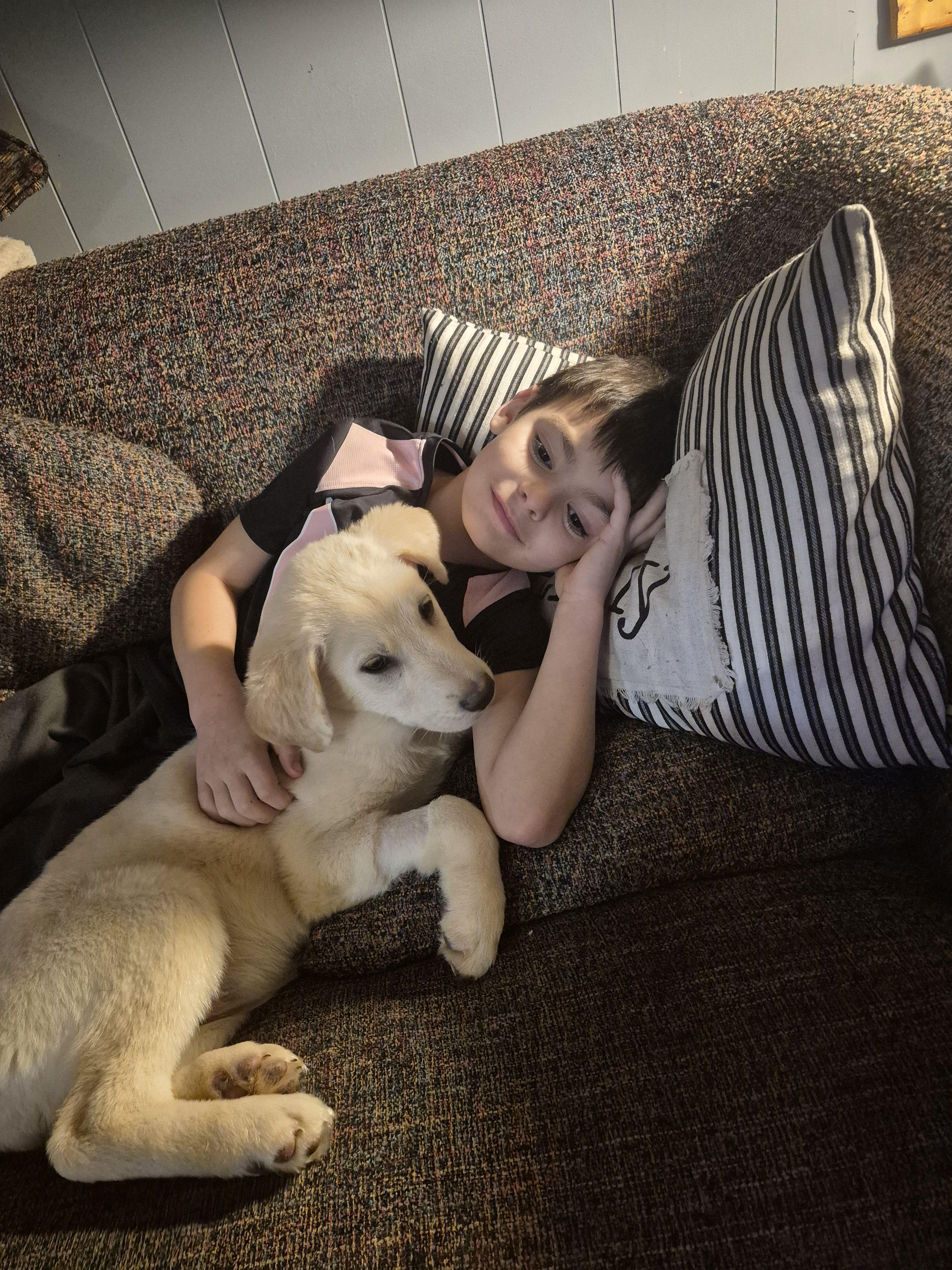 Abbey Rd, a ADOPTABLE mixed breed in Byron, IL image 2/5