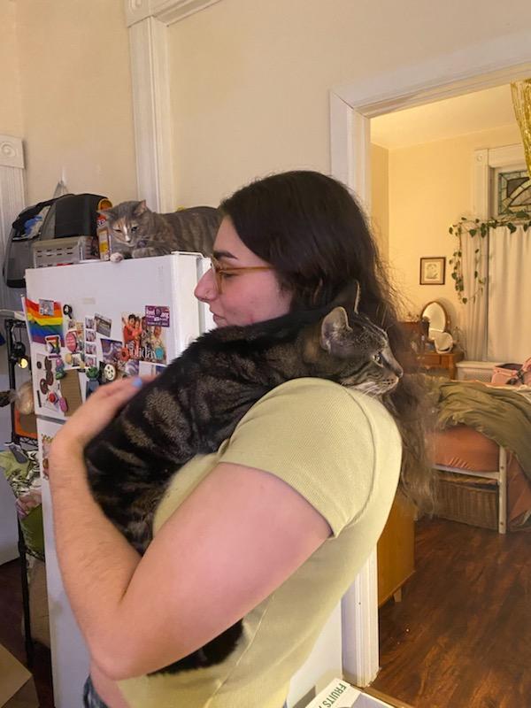 Zeus, a ADOPTABLE mixed breed in Pittsburgh, PA image 4/6