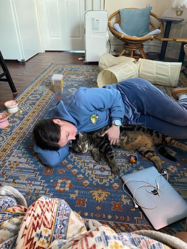 Zeus, a ADOPTABLE mixed breed in Pittsburgh, PA image 5/6