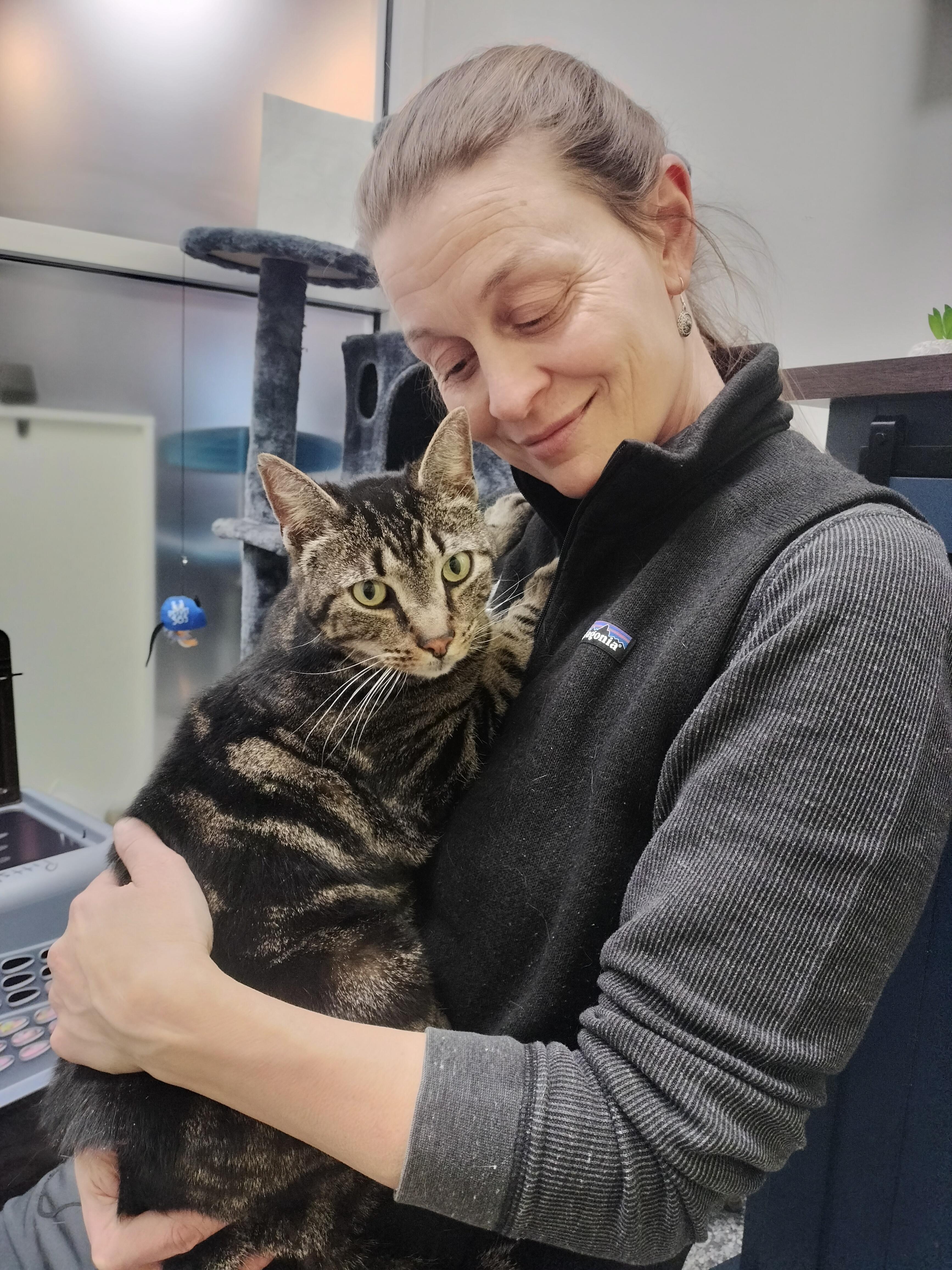 Zeus, a ADOPTABLE mixed breed in Pittsburgh, PA image 3/6