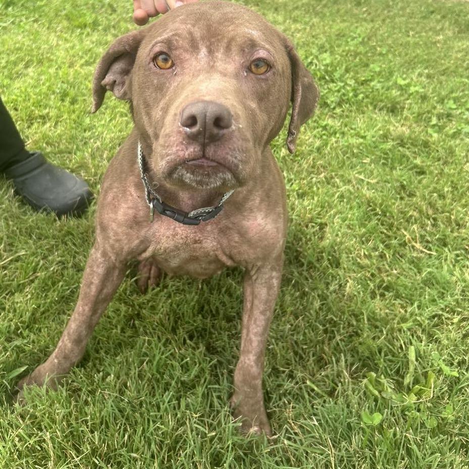 Lola Mae thumbnail 2