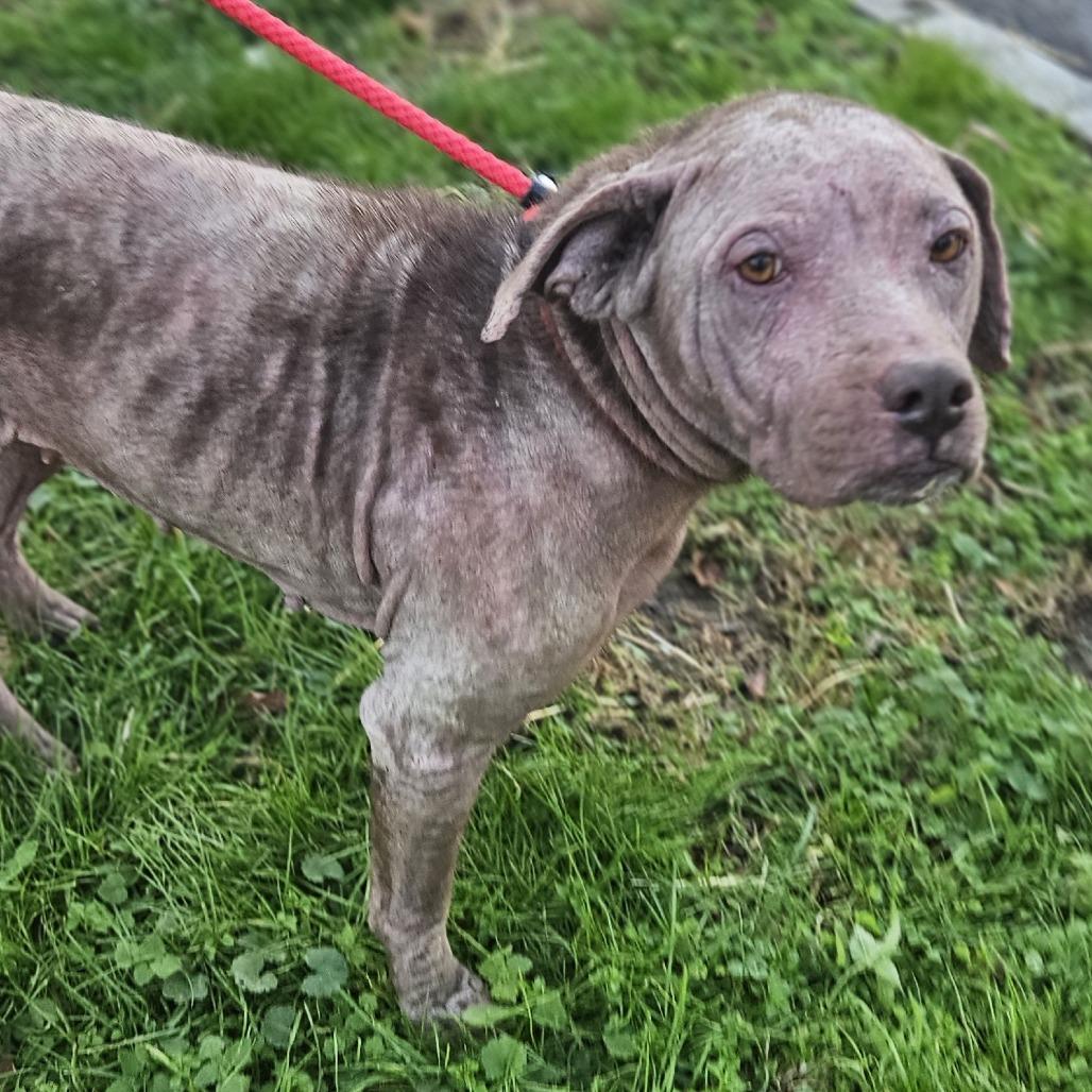 Lola Mae thumbnail 3